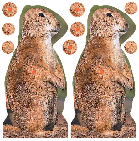 Birchwood Casey 34786 Shoot-N-C Reactive Target Self-Adhesive Paper Brown 8" Prairie Chuck 12 Pack