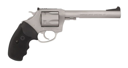 Charter Arms 73566 Mag Pug Target Extra Large 357 Mag, 6 Shot 6" Matte Stainless Steel Barrel, Cylinder  &  Frame w/Black Finger Grooved Rubber Grip
