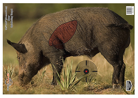 Birchwood Casey 35408 Pregame  Boar Paper Target 16.50" x 24" 3 Per Pkg