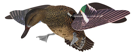 Avian X AVXPFLHT PowerFlight Hen Green-Winged Teal spinning wing decoy
