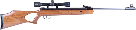 Blue Line Solutions 25003205 Diana Two-Fifty 5.5mm .22 Cal 24 Joule w/Gas Spring Set