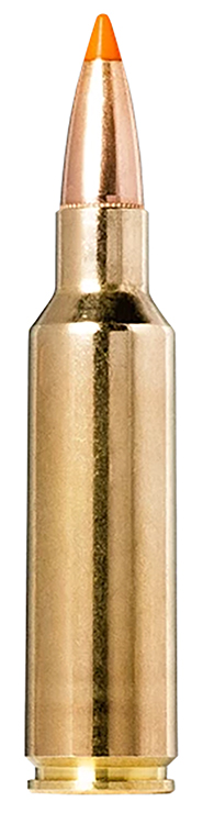 Norma Ammunition 20174022  Tipstrike 300WSM 170gr 20 Per Box/10 Case
