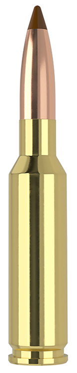 Nosler 61053   6.5x55Swedish 140gr Ballistic Tip 20 Per Box/10 Case