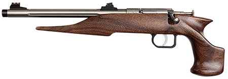 Chipmunk 40101 Hunter  Youth Frame 22 S/L/LR Single Shot 9" Threaded Stainless Steel Barrel, Walnut Frame, EZ Loader