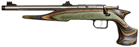 Chipmunk 41105 Hunter Adult 22 Mag 1rd 9" Threaded Stainless Steel Single Shot Barrel, Camo Laminate Stock