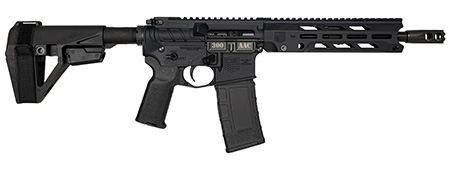 DIA DB1984B001  300BO DB15 10       30R*BRACE* BLK