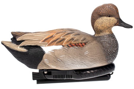 AVIAN AVX-PSW-GDSW  POWER SWIMMER GADWILL DRAKE