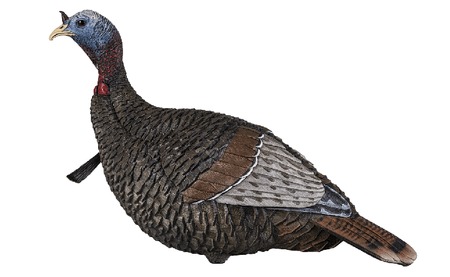 FLEXTONE FLX-FLXDY317 THUNDER JAKE