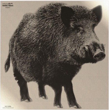 INFRARED-ID RBOARL1     THERM BOAR TARGT