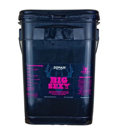 DOMAIN BSFP34      BIG SEXY