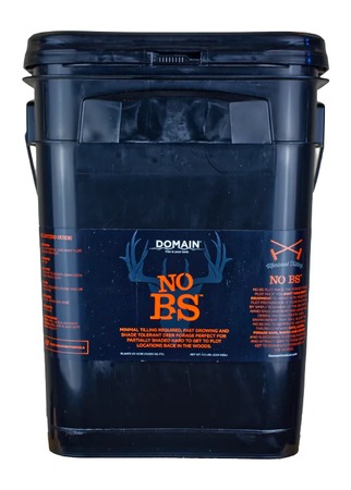 DOMAIN NBSFP45     NO BS