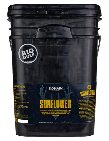 DOMAIN DSS3LB      SUNFLOWER