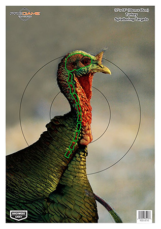 [029057354034] Birchwood Casey 35403 Pregame  Turkey Paper Hanging Universal 12" x 18" Multi-Color 8 Per Pkg