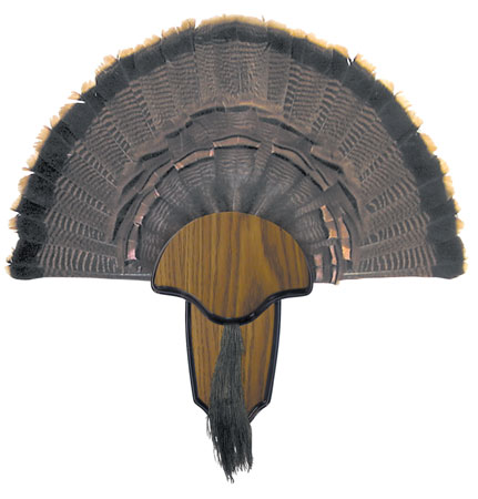 [021291008490] HS Strut 00849 Turkey Tail  &  Beard Mounting Kit