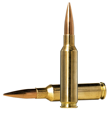 [7393923320151] Norma Ammunition 10166312 Dedicated Precision Golden Target Match 6.5Creedmoor 130gr Boat Tail Hollow Point 20 Per Box/10 Case