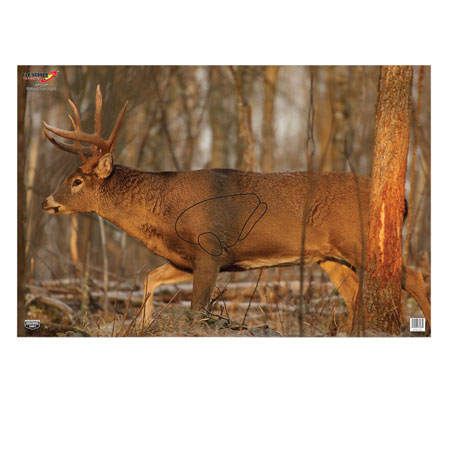 [029057374810] Birchwood Casey 37481 EZE-Scorer  Whitetail Deer Paper Hanging 23" x 35" Multi-Color 2 Per Pkg
