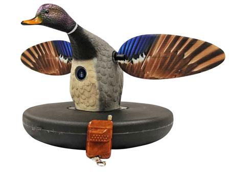 [816740004167] Mojo Outdoors HW2494 Elite Series Drake Floater Mallard Species Multi Color Plastic Features Remote Control