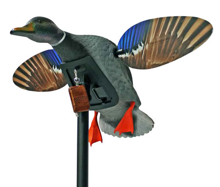 [816740004624] Mojo Outdoors HW24873P Elite Series Mini Drake Mallard Species Multi Color Plastic Features Remote Control
