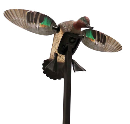 [816740004600] Mojo Outdoors HW24743P Elite Series Green Winged Teal Duck Species Natural Molded Plastic Features Remote Compatible