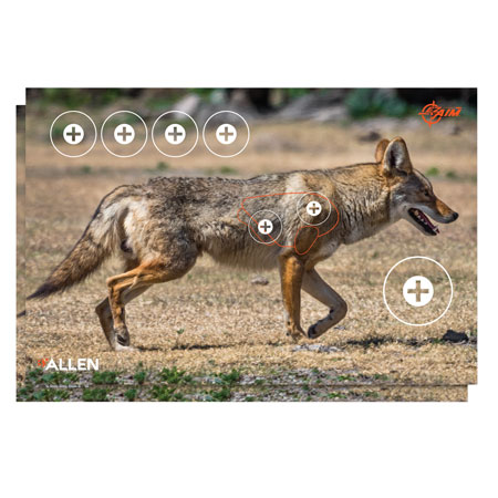 [026509046837] EZ-Aim 15284 Four Color  Coyote Paper Hanging 23" x 35" Multi-Color 2 Per Pkg