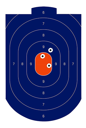 [029057357141] Birchwood Casey 35714 Dirty Bird Silhouette Target Silhouette Tagboard Target 12" x 18" 100 Per Pkg
