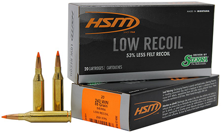 [810742024703] HSM 24318N Low Recoil  243 Win 85 gr Orange Polymer Tip 20 Per Box/ 25 Case