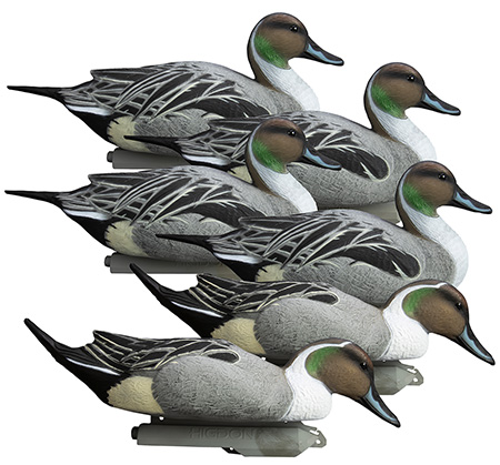 [710617165442] Higdon Outdoors 16544 Battleship Pintail Pintail Species Multi Color Foam Filled 6 Pack