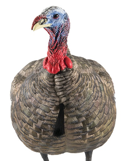 [810280080032] Avian X AVXAVX8003 LCD Quarter-Strut Jake Turkey Species Multi Color Dura-Rubber