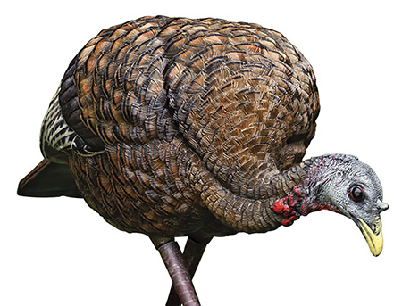 [810280080070] Avian X AVXAVX8007 LCD Feeder Hen Turkey Species Multi Color Dura-Rubber