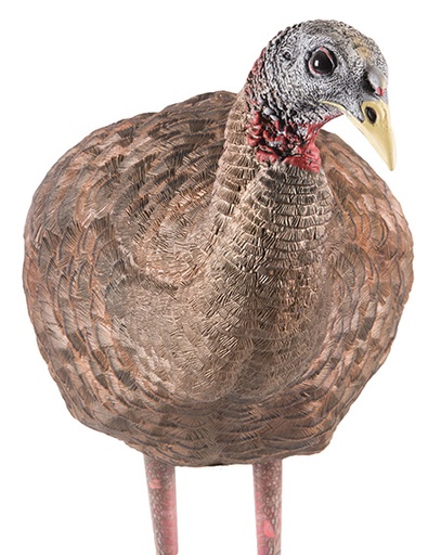 [810280080087] Avian X AVXAVX8008 LCD Breeder Hen Turkey Species Multi Color Dura-Rubber