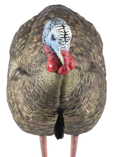 [810280080124] Avian X AVXAVX8012 LCD Half-Strut Jake Turkey Species Multi Color Dura-Rubber