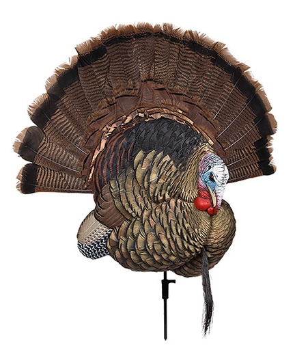 [810280080216] Avian X AVXAVX8021 Trophy Tom  Turkey Species Multi-Color *No Fan