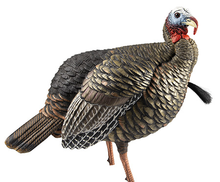 [082271001030] Avian X AVXAVX8105 HDR Jake Turkey Decoy Multi Color