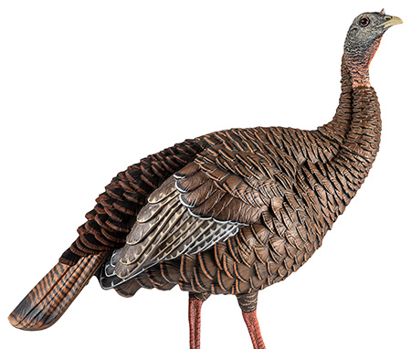 [082271001696] Avian X AVXAVX8106 HDR Hen Turkey Species Multi Color
