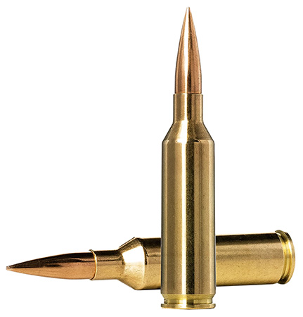 [7393923325460] Norma Ammunition 10166462 Dedicated Precision Golden Target Match 6.5PRC 143gr Hollow Point Boat Tail 20 Per Box/10 Case
