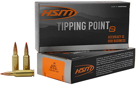 [810742029425] HSM 6ARC2N Tipping Point Super Shock Tip 6mm ARC 95 gr 20 Per Box/ 25 Case