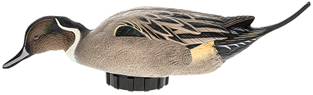 [888151047552] Avian X AVXPSHPNSF Power Shaker  Pintail Surface Feeder Duck Decoy Multi-Color