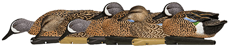 [810280080803] Avian X AVXAVX8080 Topflight  Blue-Winged Floating Teal Decoys Multi-Colored-6 Pack