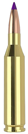 [054041400411] Nosler 40041   243Win 70gr Ballistic Tip Varmint 20 Per Box/10 Case