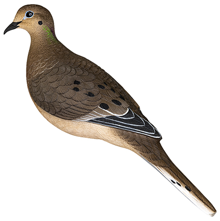 [888151061176] Avian X AVX-DOVE-6PK  Full Body Dove Multi-Color 6 Pack