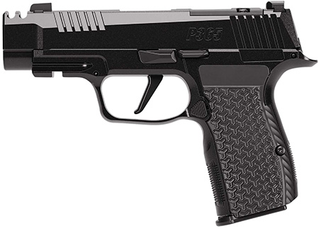 [798681726561] SIG 365AXG380COMPLUXE P365 380 3.1 OR 12R