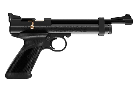 [028478119208] Daisy 2240 2240  Black Polymer CO2 22 Cal, Single Shot Bolt Action