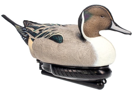 [888151047620] AVIAN AVX-PSW-PNSW  POWER SWIMMER PINTAIL DRAKE