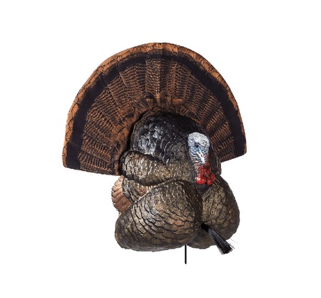 [815097009818] FLEXTONE FLX-FLXDY316 THUNDER CREEPER (STRUTTER)