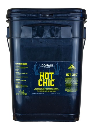 [850033777017] DOMAIN HCFP34      HOT CHIC