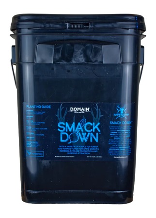 [850033777123] DOMAIN SDFP3       SMACK DOWN