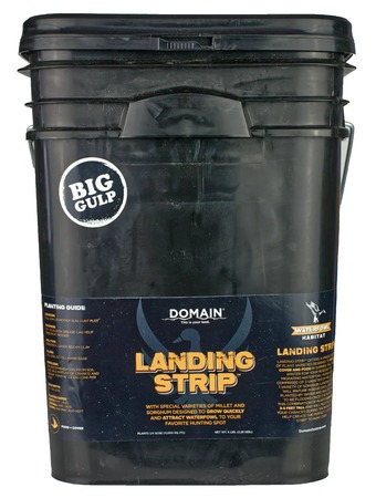 [850033777697] DOMAIN LSFP5       LANDING STRIP