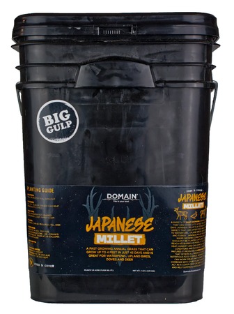 [850033777888] DOMAIN DJMS4LB     JAPANESE MILLET