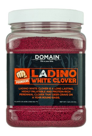 [850033777536] DOMAIN DLWCS1LB    LADINO WHITE CLOVER