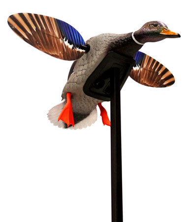 [816740004563] Mojo Outdoors HW24703P Elite Series Mini Mallard Drake Species Multi Color Plastic